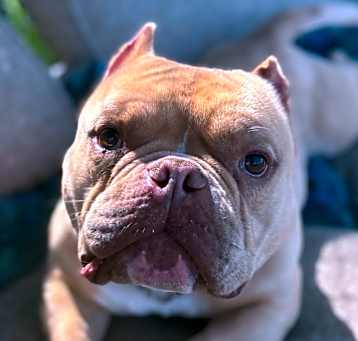 Photo of Buttah /A1031127