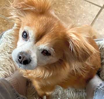 Photo of Isabella