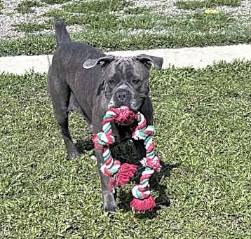 Photo of Lulu
