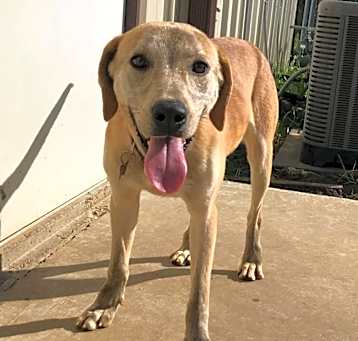 Photo of Daisy