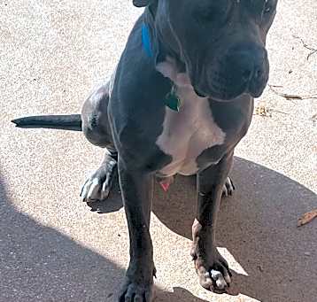 Photo of Dusse