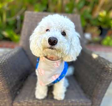 Photo of Yuki