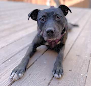 Photo of Lucy