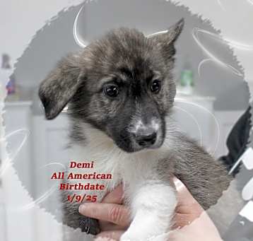 Photo of Demi