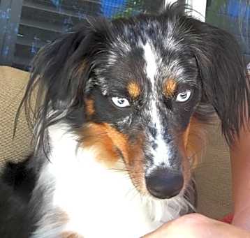 Photo of Sophie