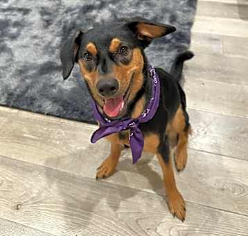 Photo of Zara