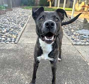 Photo of Ranger