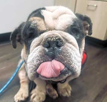 Photo of Watson