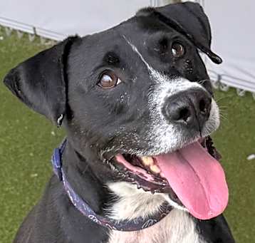 Photo of Cash