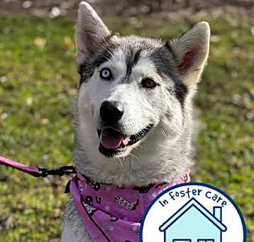 Photo of Misty