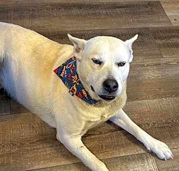 Photo of Otis