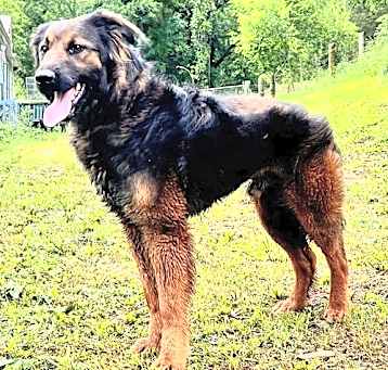 Photo of COOPER