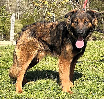 Photo of COOPER