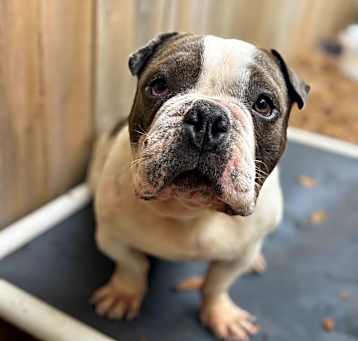 Photo of Chug