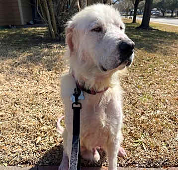 Photo of Quinn HTX