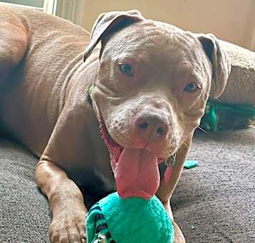 Photo of Kendrick Labark