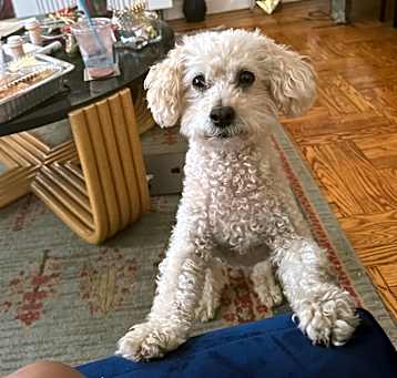 Photo of Mellow