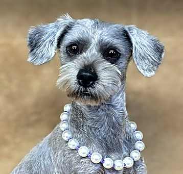Photo of Marcy