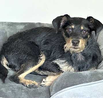 Photo of grady