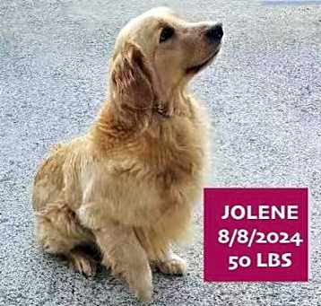 Photo of Jolene