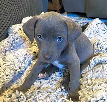 Photo of Storm