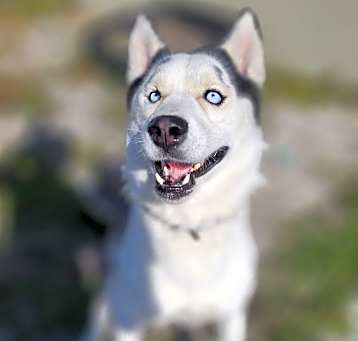 Photo of JJ