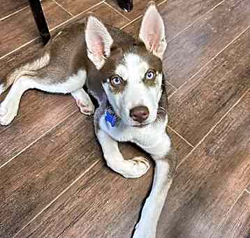 Photo of Baylen
