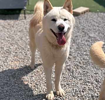 Photo of Duri