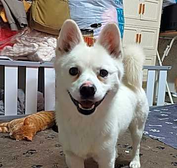 Photo of Louie