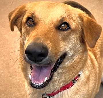 Photo of Zula