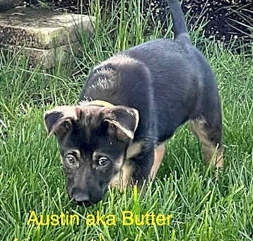 Photo of 25-01 Austin