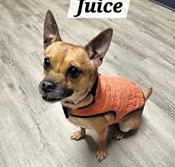 Photo of Juice