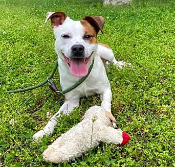 Photo of COOPER