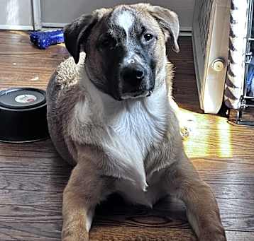 Photo of Quinnie Winnie