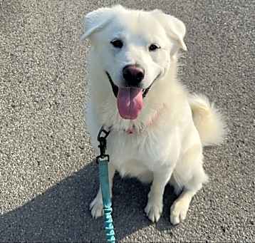 Photo of Yuki