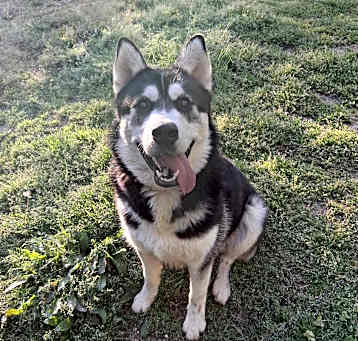 Photo of Kenai