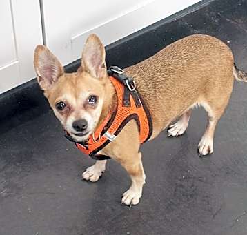 Photo of Molly