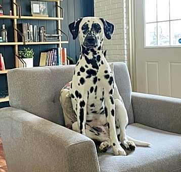 Photo of Maggie