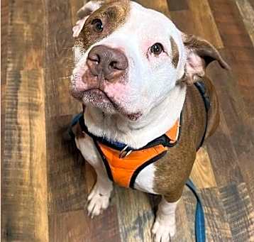 Photo of Trucker