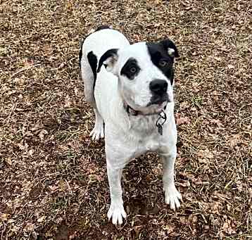 Photo of Mookie