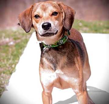 Photo of Flynn