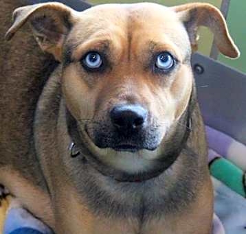 Photo of Mable