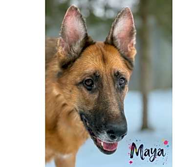 Photo of Maya