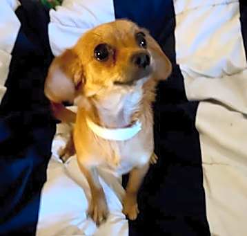 Photo of Chloe