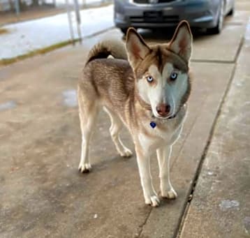 Photo of Mara
