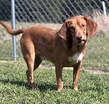 Photo of Cletus
