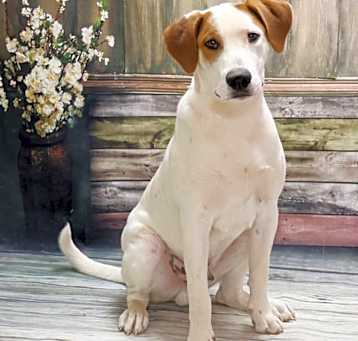 Photo of Arlo