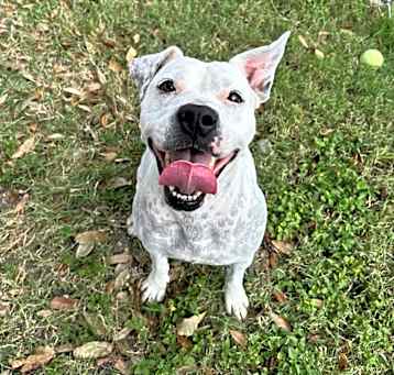 Photo of Mrs. Spots