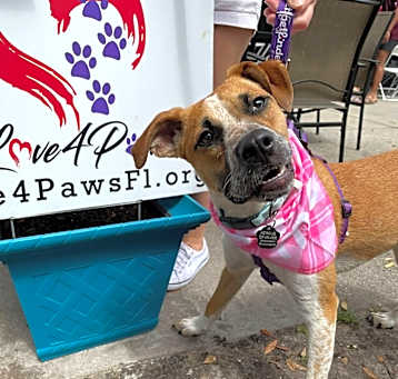 Photo of Twizzler