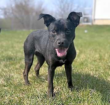 Photo of Ramona